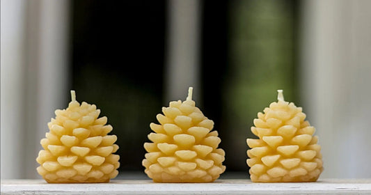 Pine Cone Candle Beeswax Works