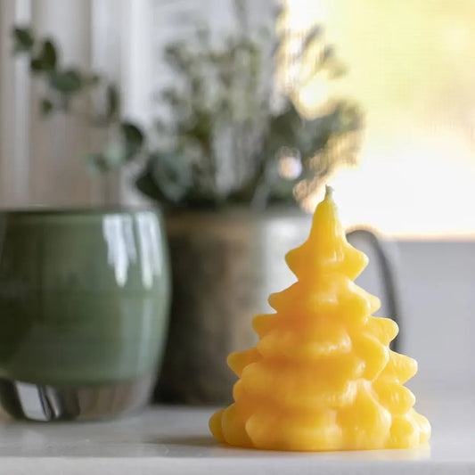 Spruce Tree Candle Beeswax Works