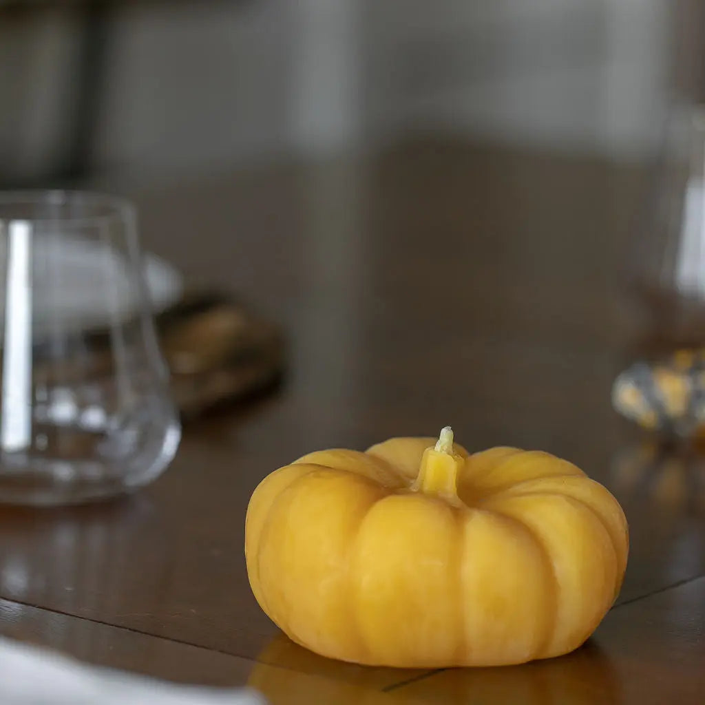 Chubby Pumpkin Candle Beeswax Works