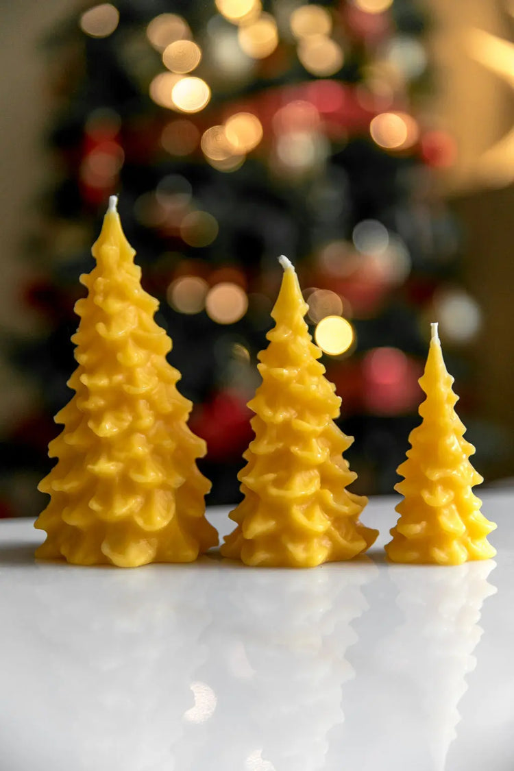 Seasonal Canadian beeswax candles