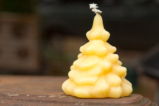 Spruce Tree Candle