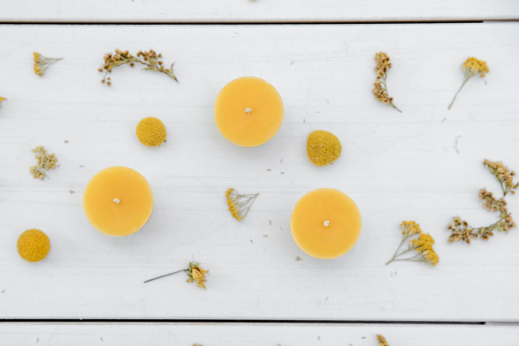 Turner Farm Holiday Candle Bundle