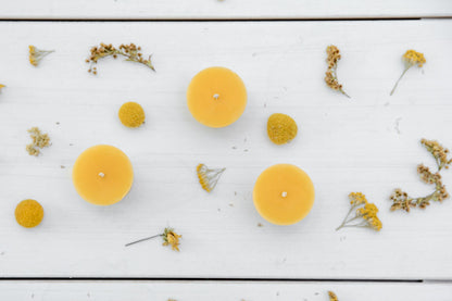 Turner Farm Holiday Candle Bundle