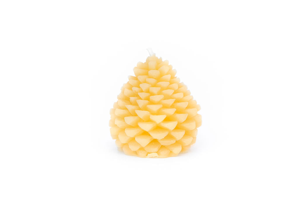 Pine Cone